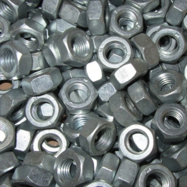 Stainless Steel Nuts