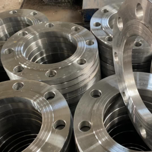 Hans fasteners Stainless Steel Flanges