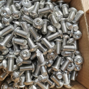 Hans Fastener Stainless Steel Screw