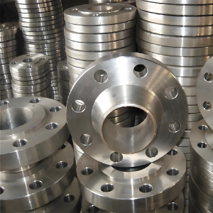 Titanium Flanges