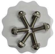 Petrochemical Dome Bolt