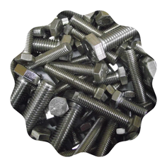 Stainless Steel Bolt
