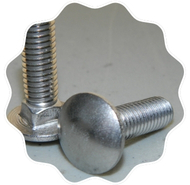  Stainless Steel Carriage Bolt