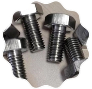 Stainless Steel  Hex Bolt