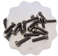 Stainless Steel Cheese Head Screws