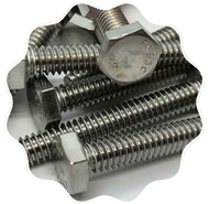 Stainless Steel Hex Screws