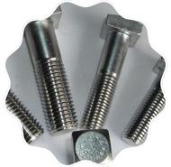 Stainless Steel Square Bolt
