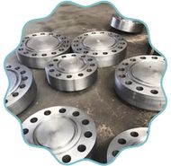 Galvanized   RTJ Flanges