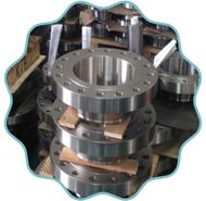 Galvanized  RTJ Flanges